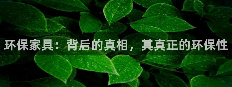 杏耀登陆测速：环保家具：背后的真相，其真正的环保性